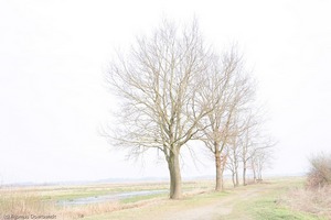 Teilnehmergalerie Fotokurs Winterlicht im Teufelsmoor
