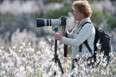 Kontakt zur Fotografin Michaela Kluever auf Sardinien