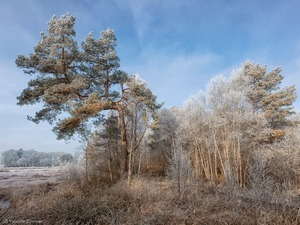 Teilnehmergalerie Masterclass in Worpswede