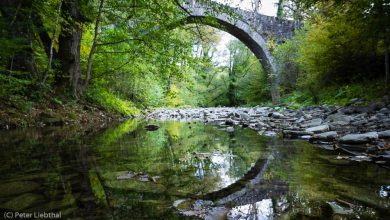 Fast schliesst sich der Kreis - die Petsioni-Brücke bei Kipi