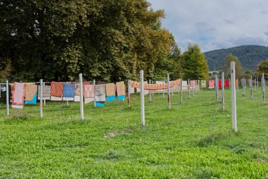 Teppiche hängen zum Trocknen auf der Leine