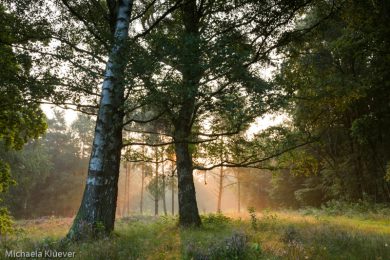 Fotoprojekte in Deutschland im Teufelsmoor bei Worpswede