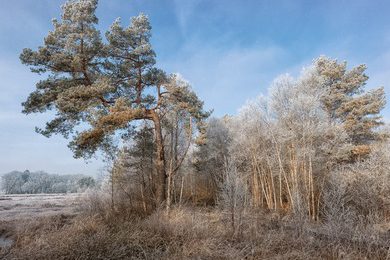 Teilnehmergalerie der sechsten Masterclass in Worpswede 2025