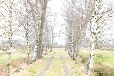 Zur Teilnehmergalerie des Fotokurs Winterlicht im Teufelsmoor