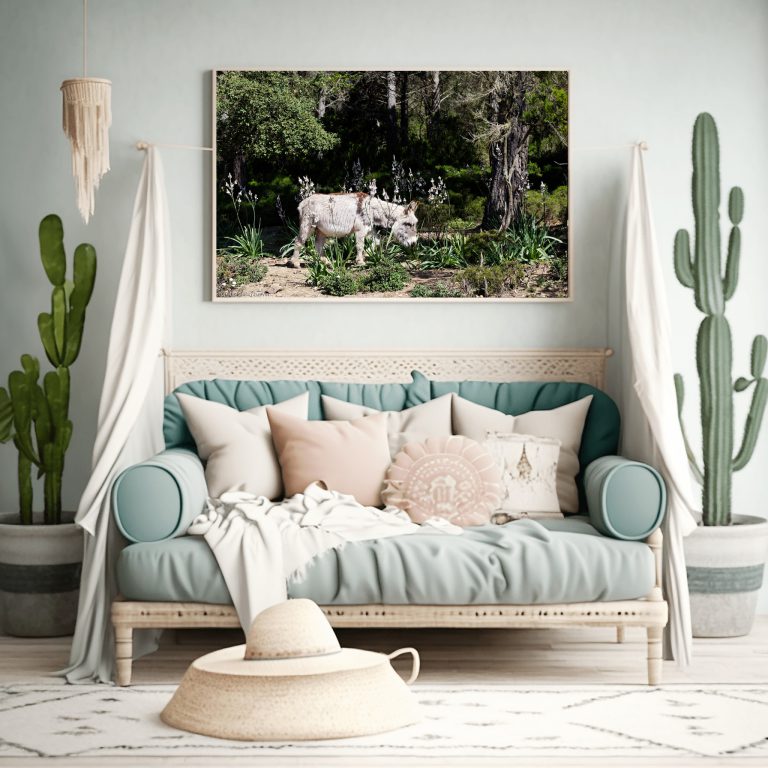 Ein Foto mit einem Esel aus Sardinien als Wandbild im Wohnzimmer