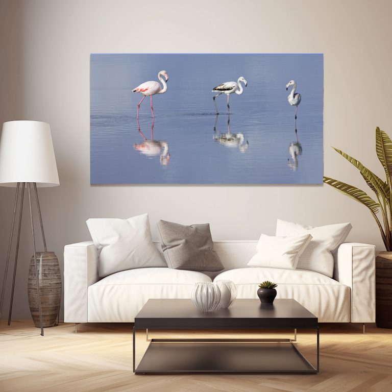 Ein Flamingo-Foto aus Sardinien als Wandbild im Wohnzimmer