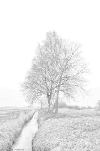 Hammewiesen