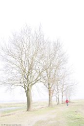 08_HK_Farbe_Thomas_1200Pixel