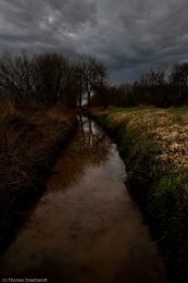 11_LK_Farbe_Thomas_1200Pixel