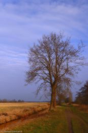 13_LK_Farbe_Thomas_1200Pixel