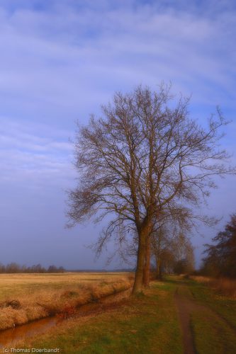 Hammewiesen