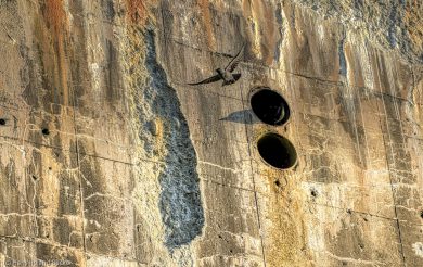 1HRB-Freiheit-nie-ohne-Schatten