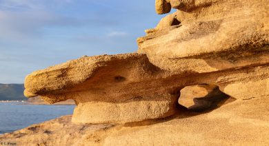 Fotoabenteuer auf Sardinien 2024
