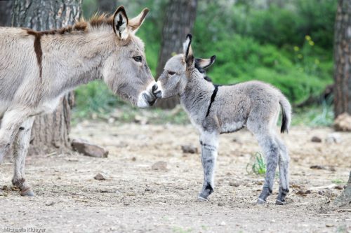 Mutter und Kind