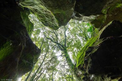 Fotoabenteuer auf Sardinien 2024