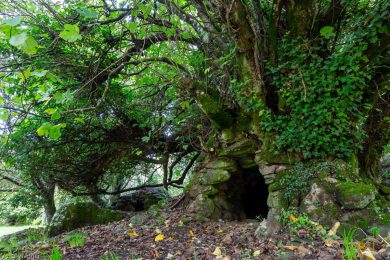 Fotoabenteuer auf Sardinien 2024