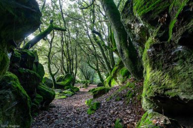 Fotoabenteuer auf Sardinien 2024