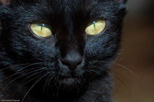 Mysteriöser Blick