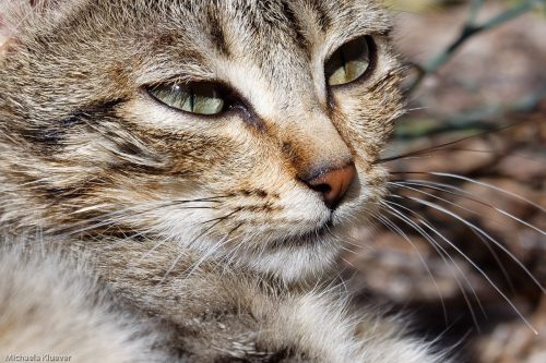 Vorsichtiger Blick