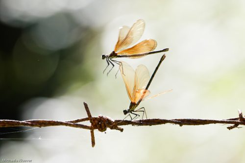 Interaktion im Flug