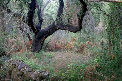 Fotoabenteuer auf Sardinien 2024
