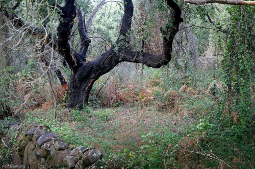 Fotoabenteuer auf Sardinien