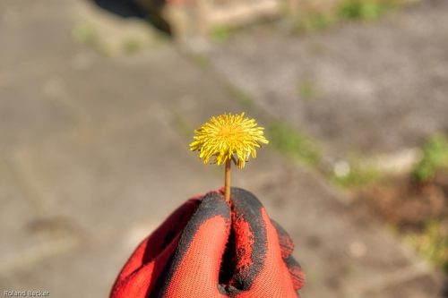 Natur im Dialog