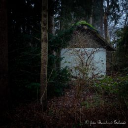 TN-Galerie_2025__BSCH_3