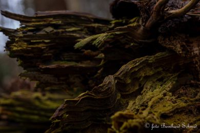 TN-Galerie_2025__BSCH_5