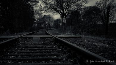 TN-Galerie_2025__BSCH_6