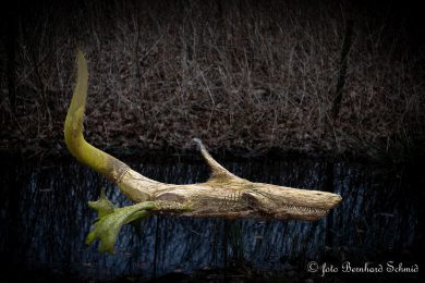 TN-Galerie_2025__BSCH_8