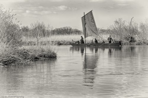 Torfkahnarmada im Teufelsmoor