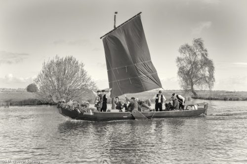 Torfkahnarmada im Teufelsmoor