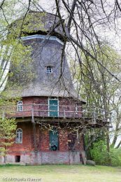 Fotografien der Windmuehlen im Teufelsmoor