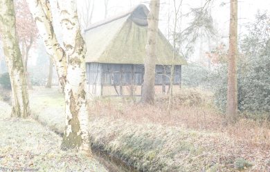 Yvonne_High-Key_Low-Key-2