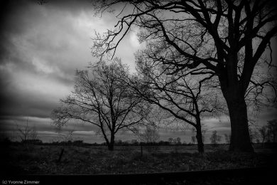 Yvonne_High-Key_Low-Key-5