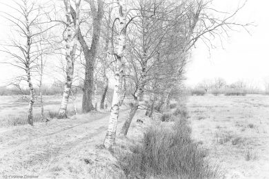 Yvonne_High-Key_Low-Key-6