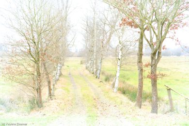 Yvonne_High-Key_Low-Key-7