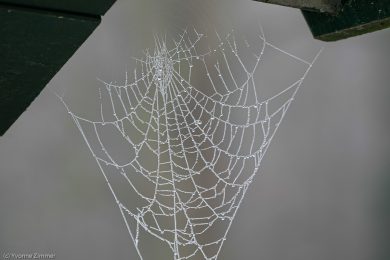 Yvonne_Spuren des Winters-1