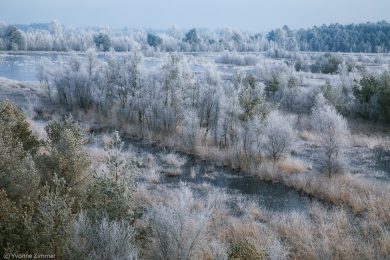 Yvonne_Spuren des Winters-10