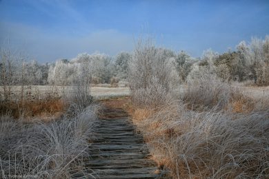 Yvonne_Spuren des Winters-12