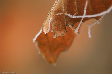 Yvonne_Spuren des Winters-5