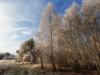 Yvonne_Spuren des Winters-6