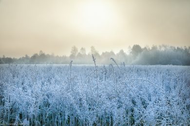 Yvonne_Spuren des Winters-9