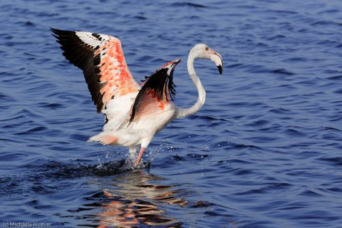 Abflug