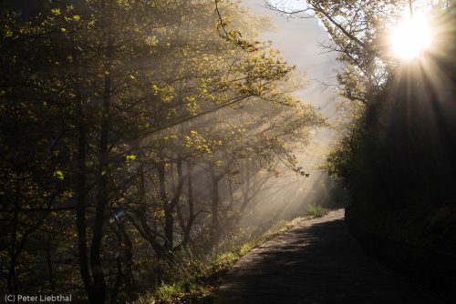 Aoos Schlucht