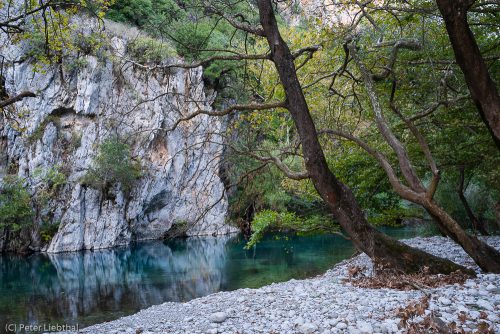 Am Voidomatis