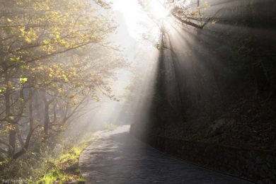 griechenland-abenteuer-zagori-rn10