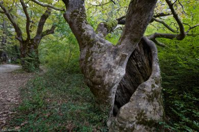 griechenland-abenteuer-zagori-rn3
