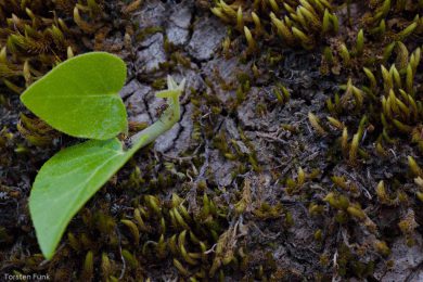 griechenland-abenteuer-zagori-tf17